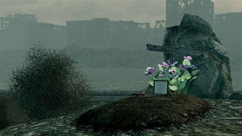 Grave (Fallout: New Vegas) .